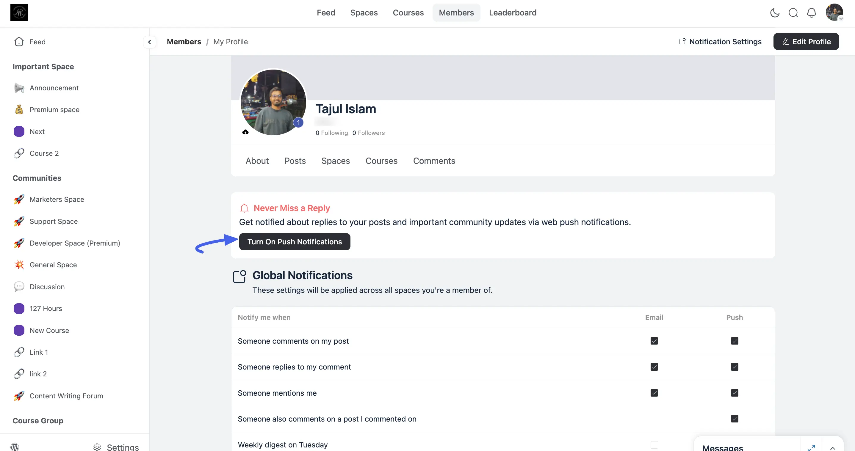 The Never Miss a Reply prompt with a Turn On Push Notifications button on a member's profile page